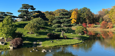 The Chicago Botanic Garden.