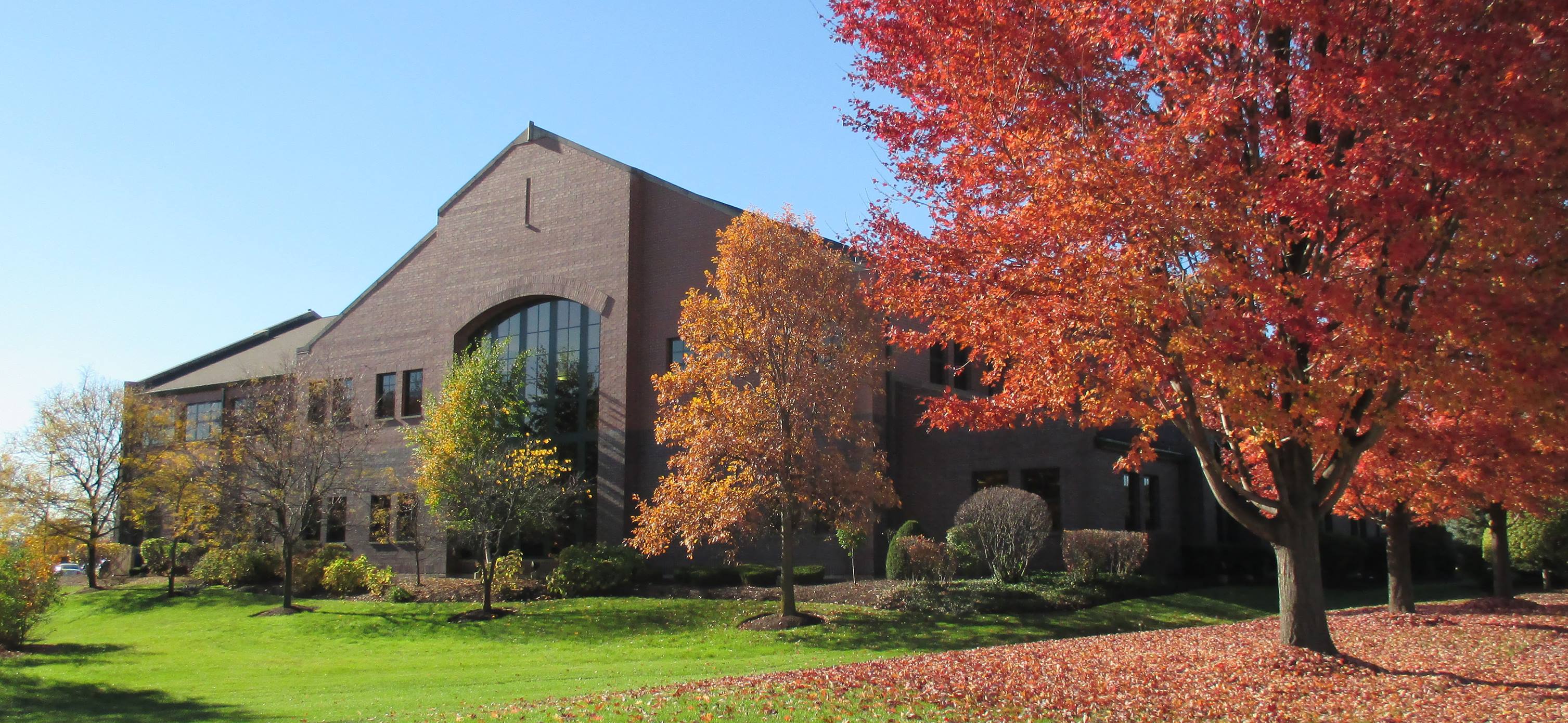 Exterior of library building with colorful leaves on trees